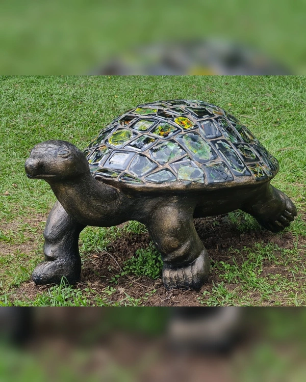 Tortuga Gigante
